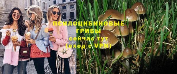 твердый Алексин