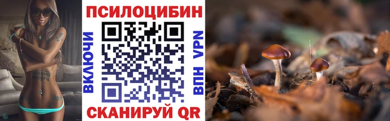 Галлюциногенные грибы MAGIC MUSHROOMS  даркнет сайт  Болгар 